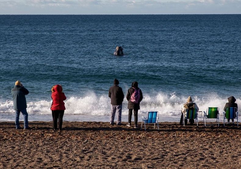Junio coincide con el comienzo de la temporada de ballenas en Puerto Madryn. (Meteored)..jpg