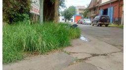 COMBO. Pasto alto y basura a 300 metros de la plaza de Pilar..
