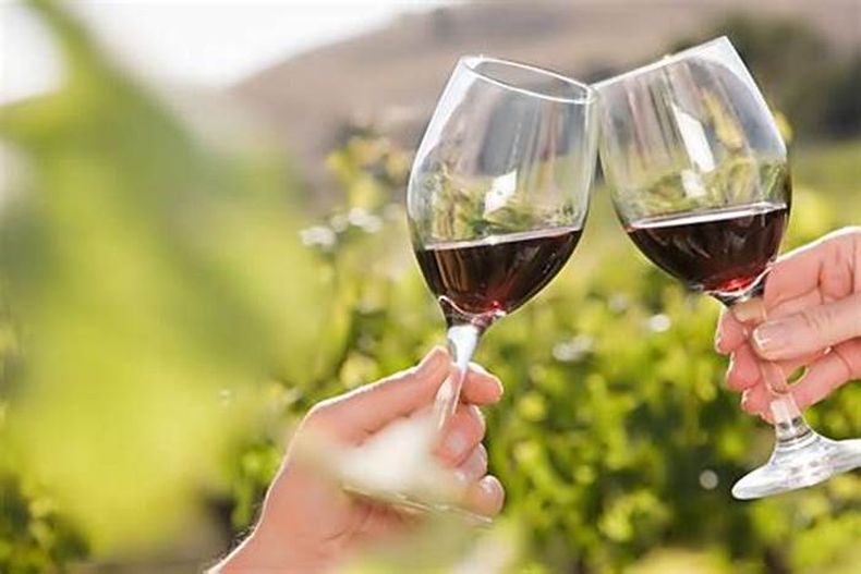 ¡Un brindis por el vino! (vinetur.com).jpg