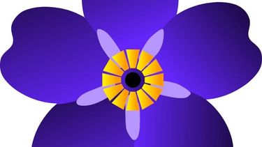 Pilar celebra a Armenia