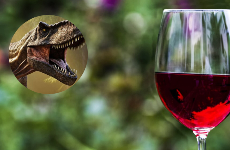 ¿Qué tienen en común la extinción de los dinosaurios y el vino? (Los Andes)..png
