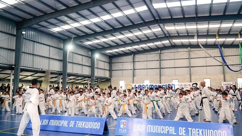 EXHIBICIÓN. Los representantes de las 10 escuelas municipales participaron del cierre de año.