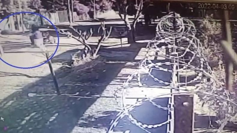 Captura de video - Tiempo de Tortuguitas..