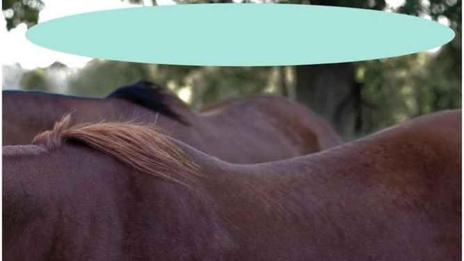 “Elipse” - Juan Cabrera - Premio PILARÁ de Fotografía 2017Fotografía digital intervenidaImpresión sobre papel de algodón canson rag photographique. 86 x 126 cm2017.