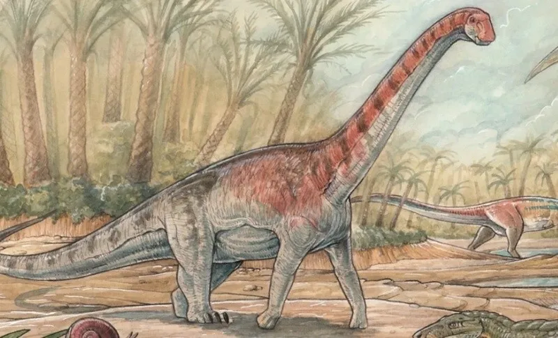 Así era el Chadititan Calvoi. (National Geographic)..png
