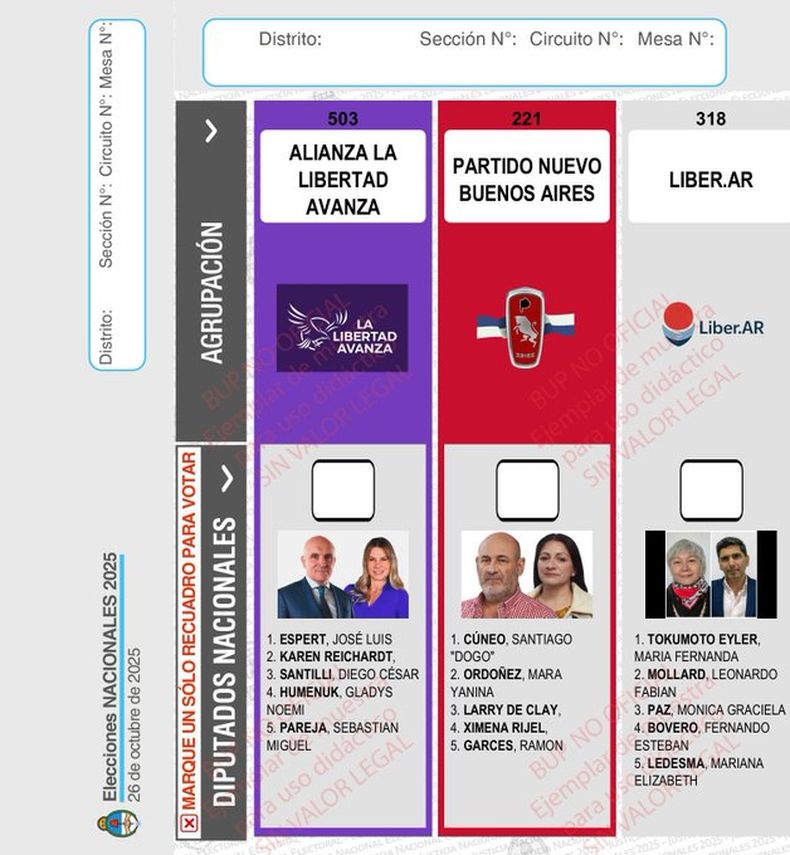 CANDIDATOS. Así se verá la lista de LLA en la &nbsp;Boleta Única de Papel.