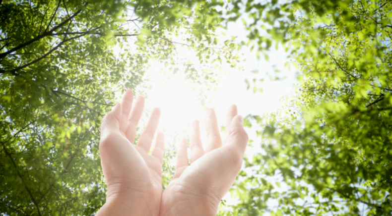 Ecoterapia: el poder curativo de la Naturaleza. (magazinedeixa.blogspot.com).