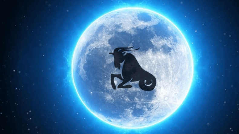 f800x450 117006_168452_5050.png