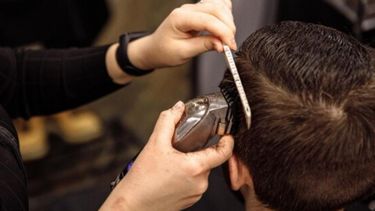 La jornada de corte de pelo gratuita se realizará el 24 de enero.&nbsp;