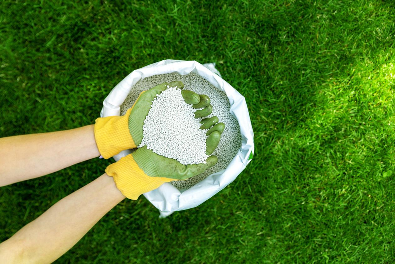 Aplica abono orgánico o fertilizantes antes de resembrar. (ecologiaverde.com)..png