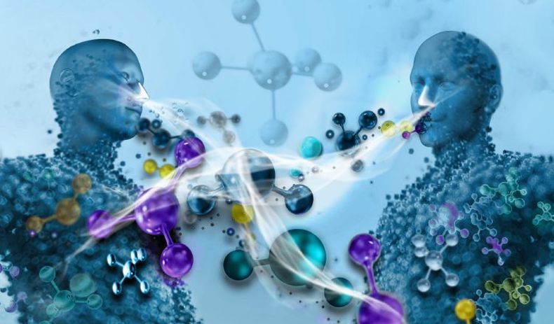 La química social entre las personas no es solo una metáfora. (panaamerica.com).