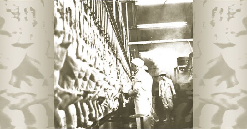 foto con historia web.jpg