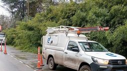 Edenor solucionó la caída de un poste de luz en Carabassa.