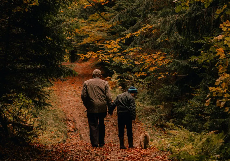 Los nacidos en otoño son más longevos. (UNSPLASH)..webp