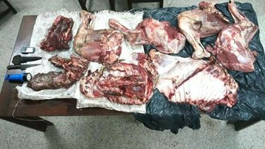 CARNE. La mercadería estaba en bolsas de arpillera y sin frío..