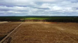 La deforestación en Brasil alcanza su nivel más bajo desde 2019 La deforestación en Brasil alcanza su nivel más bajo desde 2019
