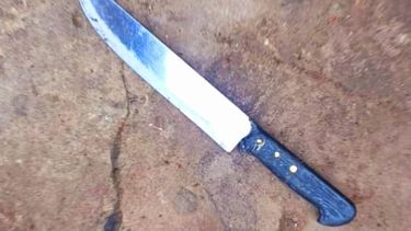 El arma utilizada por el agresor para amenazar a su vecino.