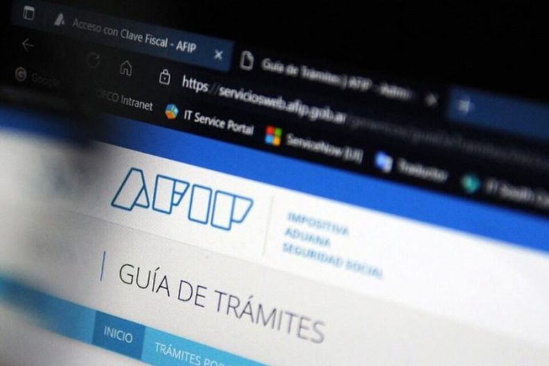 La AFIP ya comenzó a revisar las solicitudes de devolución de la percepción por compras y consumos en dólares hechas en 2023. ¿Cómo hacer el trámite?
