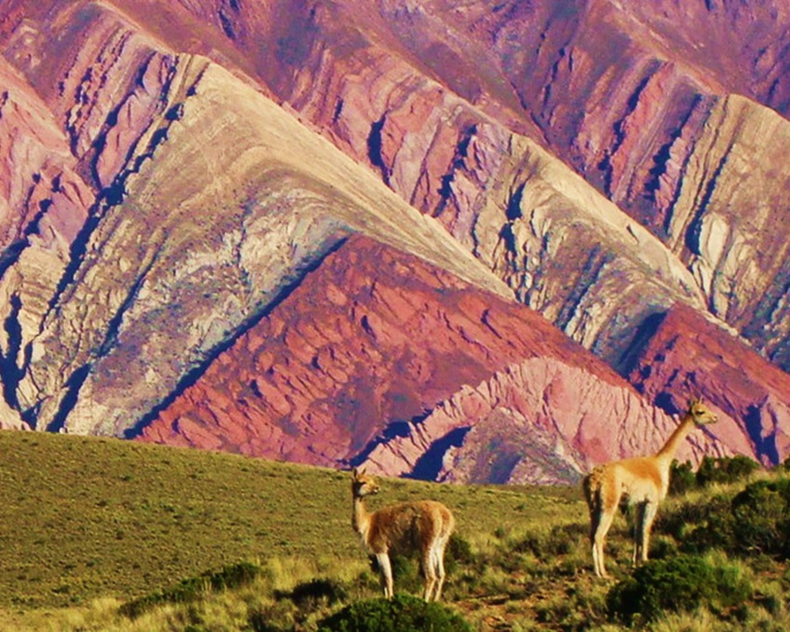 Serranía del Hornocal. (entrecerrosviajes.com.ar)..png