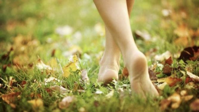 Earthing: los beneficios de conectar con la tierra este otoño