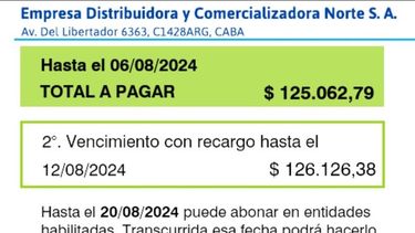 Vivo sola, en un monoambiente, Conurbano. Laburo en call center, cobro 500 k aproximadamente, pago 200k aprox. alquiler+expensas. Me vino esto de luz. Confieso que prendí la estufa los días de ola polar, PERO… Mic / @Mic34723576.&nbsp;