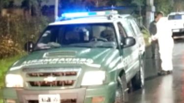 GENDARMERÍA, EN EL LUGAR DEL HECHO. Oliden y Santa Inés, Del Viso.