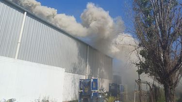 se incendio la empresa novax