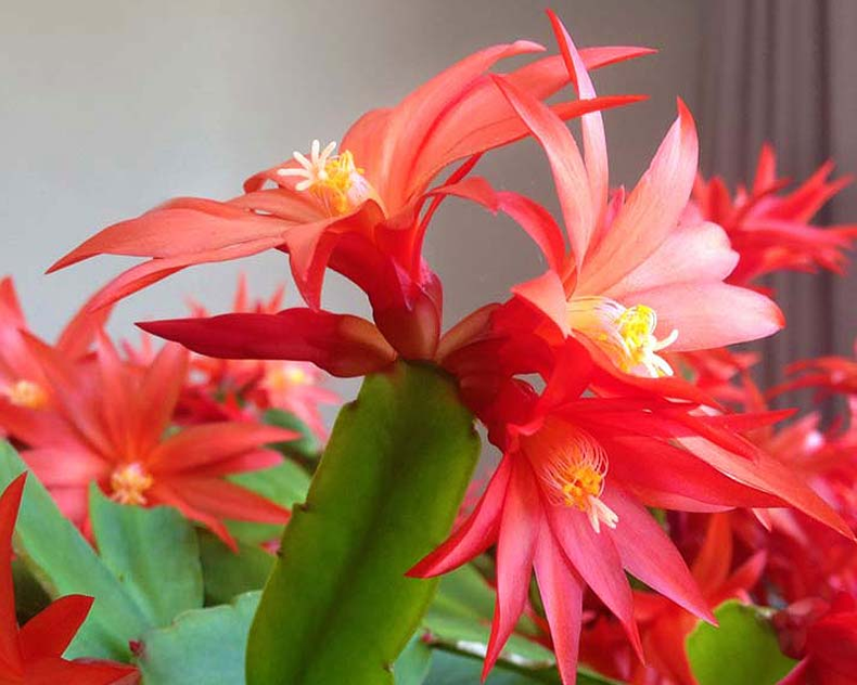 ¡Feliz Pascua! (blogspot.com).