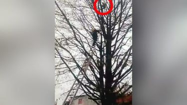 El bombero intenta salvar al adolescente.&nbsp;