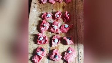 La droga fue escondida por la mujer en churrascos de cerdo.&nbsp;