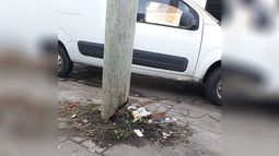 En la cuadra de Fermín Gamboa, entre Vergani e Ituzaingó, (Pilar) hay una palmera de las que sostienen los cables que está a punto de caerse. Sandra. .