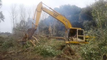 MONTE. Las retroexcavadoras limpian grandes áreas del predio. Aún no está claro qué destino le darán al terreno..