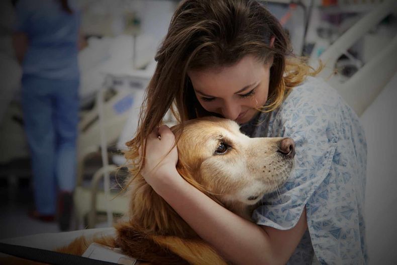 Visita de las mascotas en la Unidad de Terapia. Foto. Saludmascotas.com..jpg