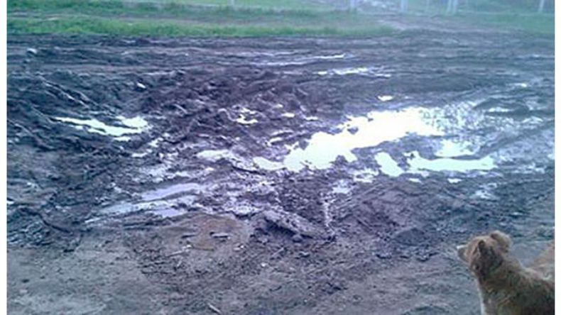 f800x450 55169_106615_5050.jpg