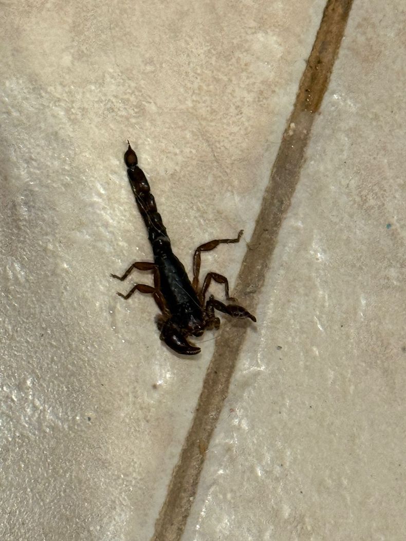 WhatsApp Image 2025-12-29 at 130634