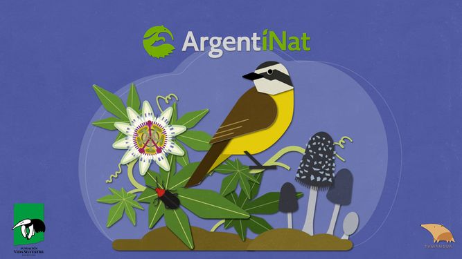 La plataforma ArgentiNat supera los dos millones de registros de naturaleza en Argentina