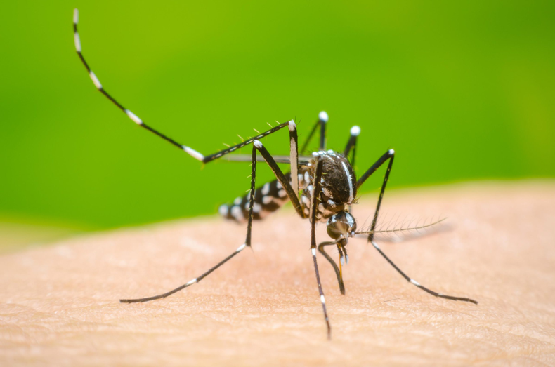 El ministro de Salud de la Provincia anunció que las personas de 15 a 59 años podrán anotarse en la web oficial para recibir la vacuna contra el dengue.
