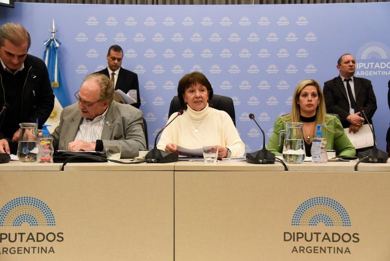 DEBATE EN EL CONGRESO. Blanca Osuna, presidenta de la comisión de Educación de la Cámara de Diputados.&nbsp;