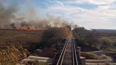 FUEGO. El incendio se generó el domingo por la tarde y afectó a las vías. .