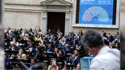 Diputados aprobó la reforma laboral con 135 votos y 115 rechazos. Diputados aprobó la reforma laboral con 135 votos y 115 rechazos.