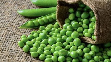 3 vegetales para cultivar en otono