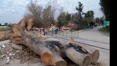 El camino sigue bloqueado esperando un hueco en la agenda para la inauguración..