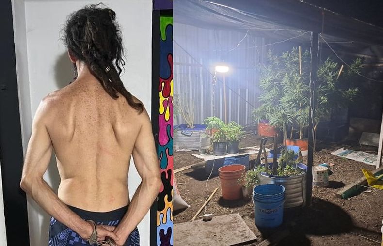 El detenido tenía armas y gran cantidad de plantas de marihuana.