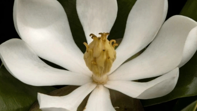 f800x450 119401_170847_5050.png
