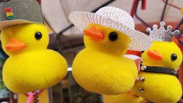 En Pilar los patitos amarillos pueden conseguirse desde $1.100.