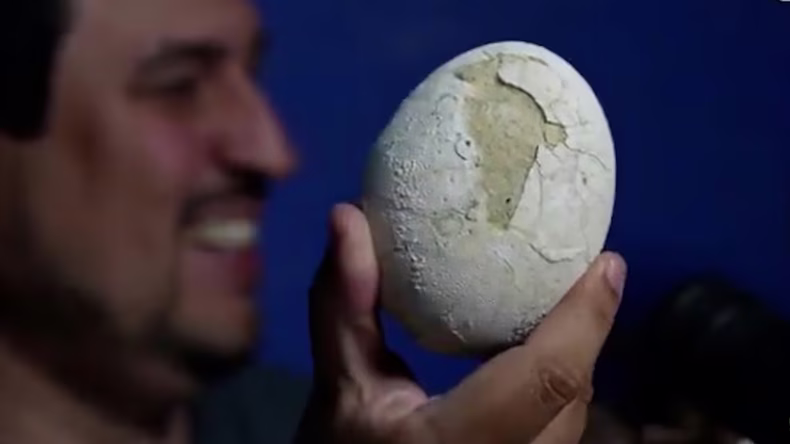 Científicos del CONICET hallaron un huevo de dinosaurio carnívoro. (@paleocueva.lacev).