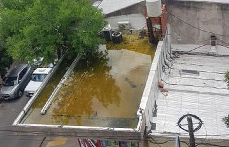 Carolina. En la calle Bolívar, a dos cuadras de la Municipalidad, hay un gran foco de plagas producto de esa agua estancada que se nota todo el día de ese tanque se ve ahí. ¿Dónde se podría denunciar esto, por favor?