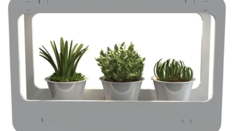 f800x450 107993_159439_5050.jpg