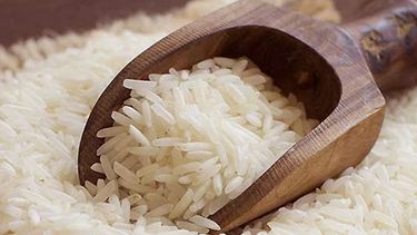 el sorprendente uso que tiene el arroz crudo en las plantas