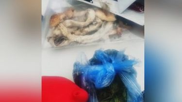 Chinchulines y marihuana. El detenido tiene antecedentes por venta de drogas.&nbsp;